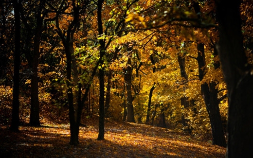 1753971 (a): :1920x1200
